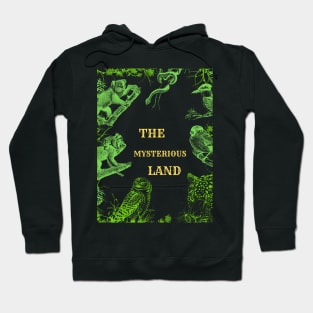 The mysterious land Hoodie